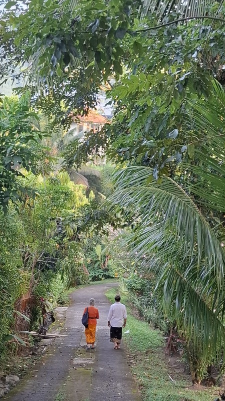 Jungle valley and palms in Sidemen